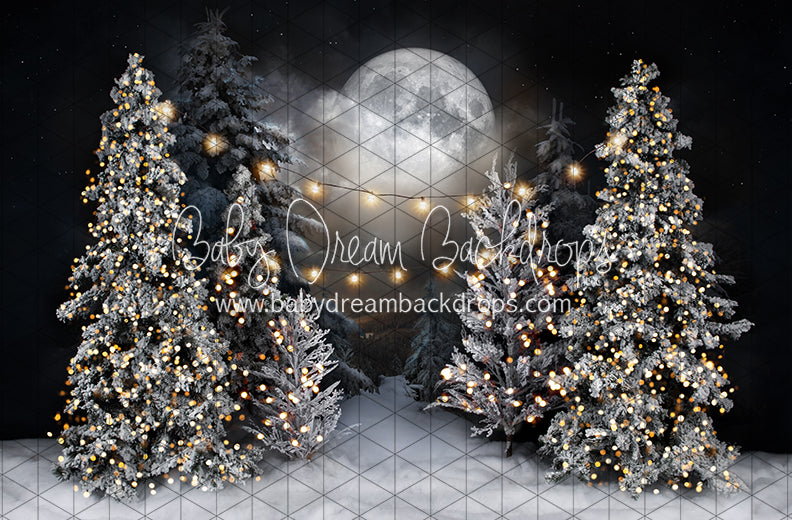 Magic in the Moonlight with String Lights (JA)