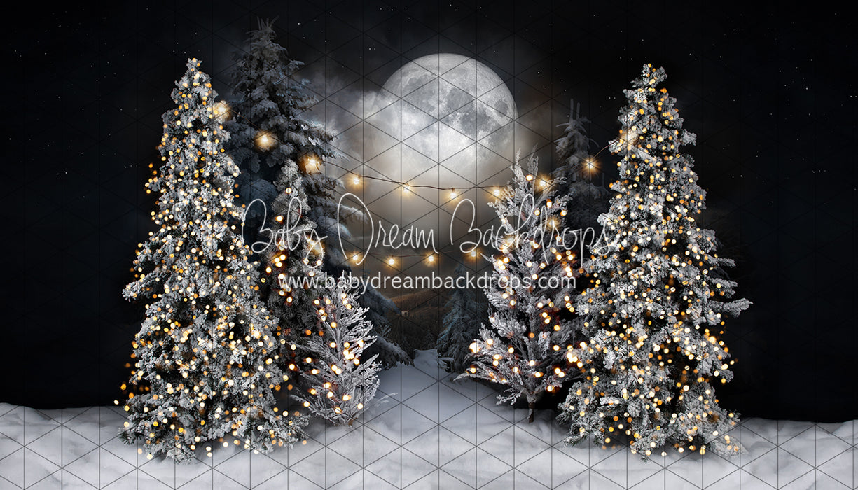 Magic in the Moonlight with String Lights (JA)