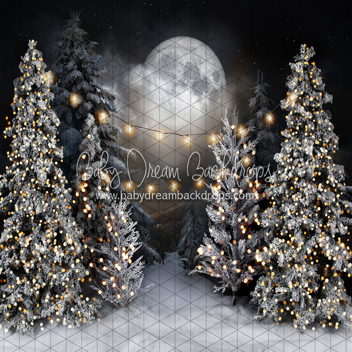 Magic in the Moonlight with String Lights (JA)