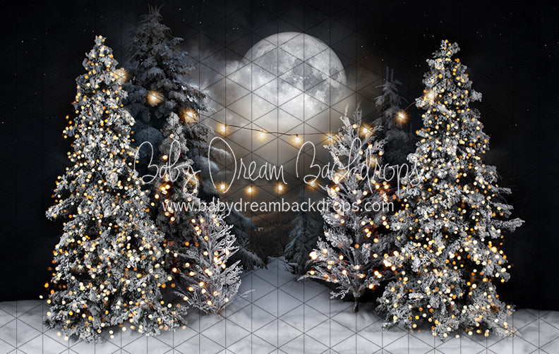 Magic in the Moonlight with String Lights (JA)