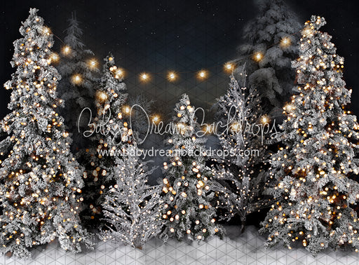 Magic in the Night Simple String Lights (JA)