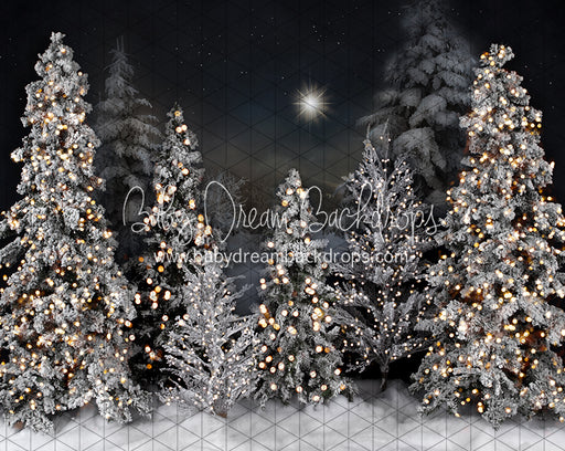 Magic in the Starlight Lights (JA)