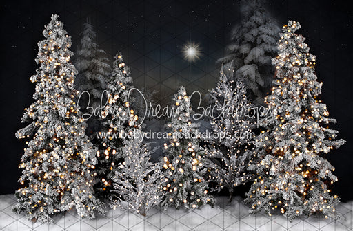 Magic in the Starlight Lights (JA)