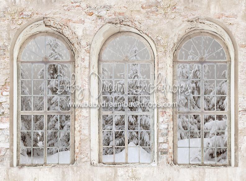 Manhatten Brick Winter View