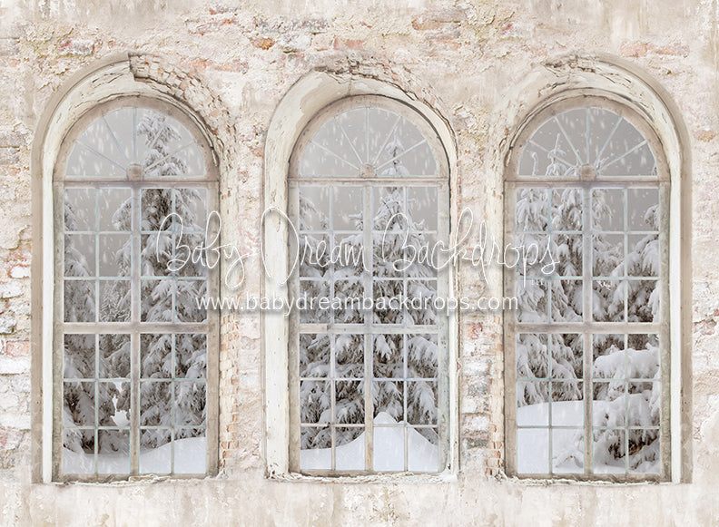 Manhatten Brick Winter View