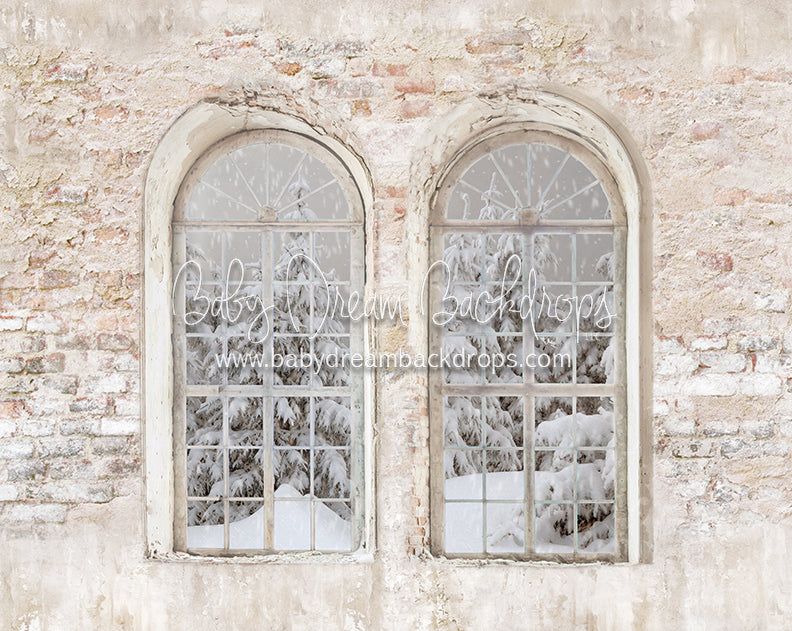 Manhatten Brick Winter View