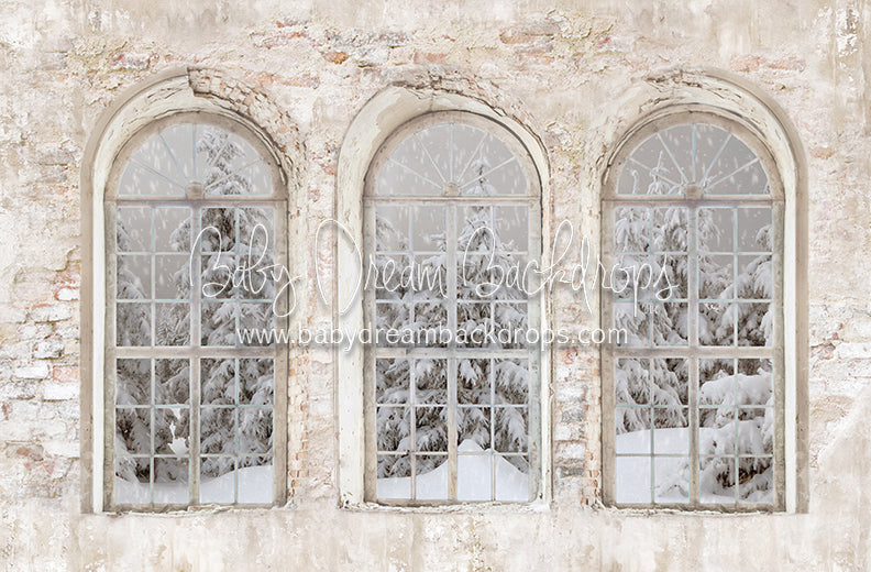 Manhatten Brick Winter View