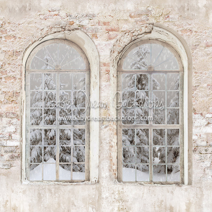 X Drop manhatten brick winter view