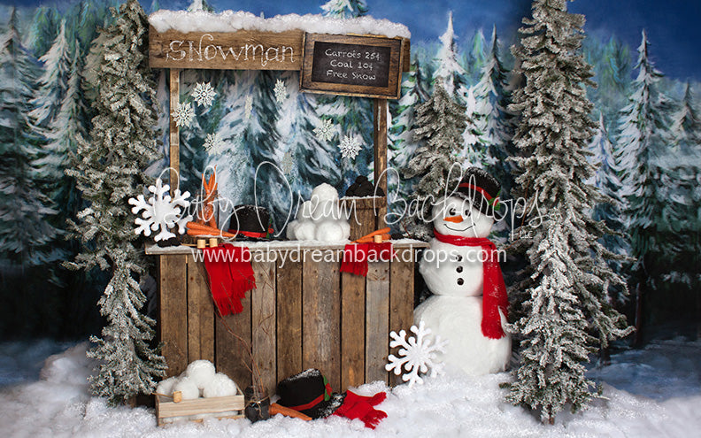 Do You Wanna Build a Snowman - 5x8 - JA  