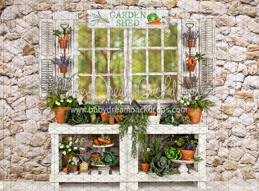 McGregor Garden Shed (JA)