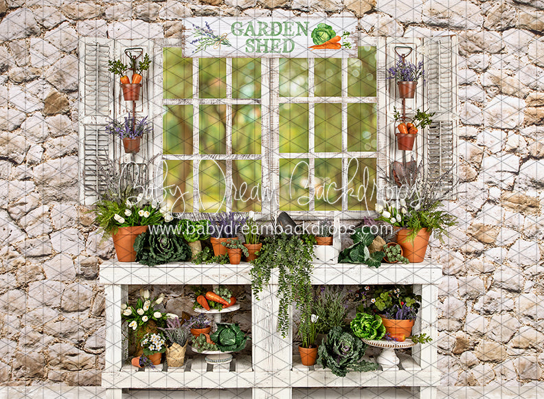 McGregor Garden Shed (JA)