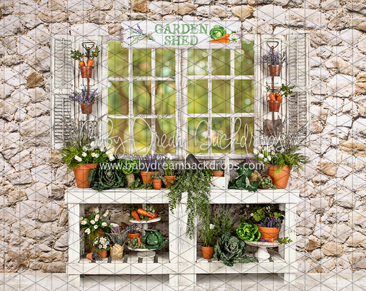 McGregor Garden Shed (JA)