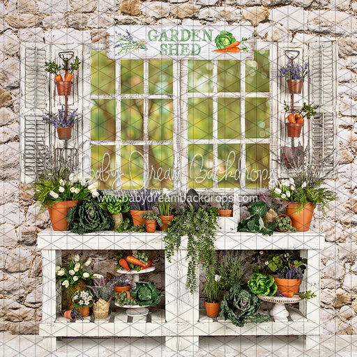 McGregor Garden Shed (JA)