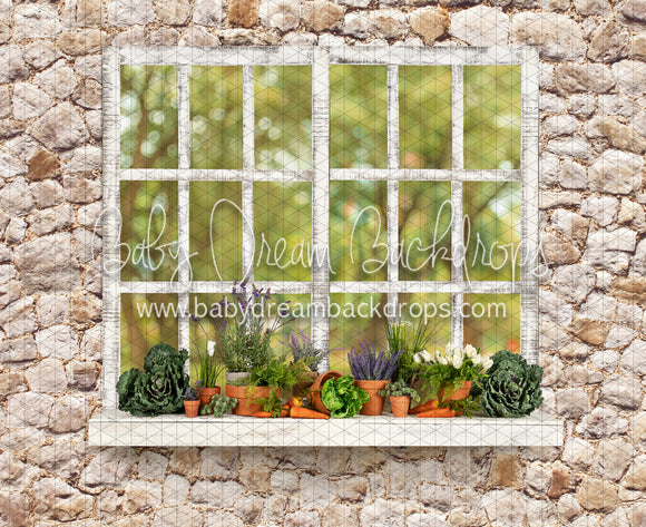 McGregor Garden Shed Window (JA)
