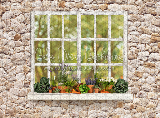McGregor Garden Shed Window (JA)