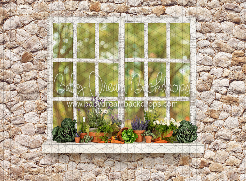 McGregor Garden Shed Window (JA)