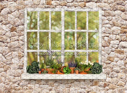 McGregor Garden Shed Window (JA)