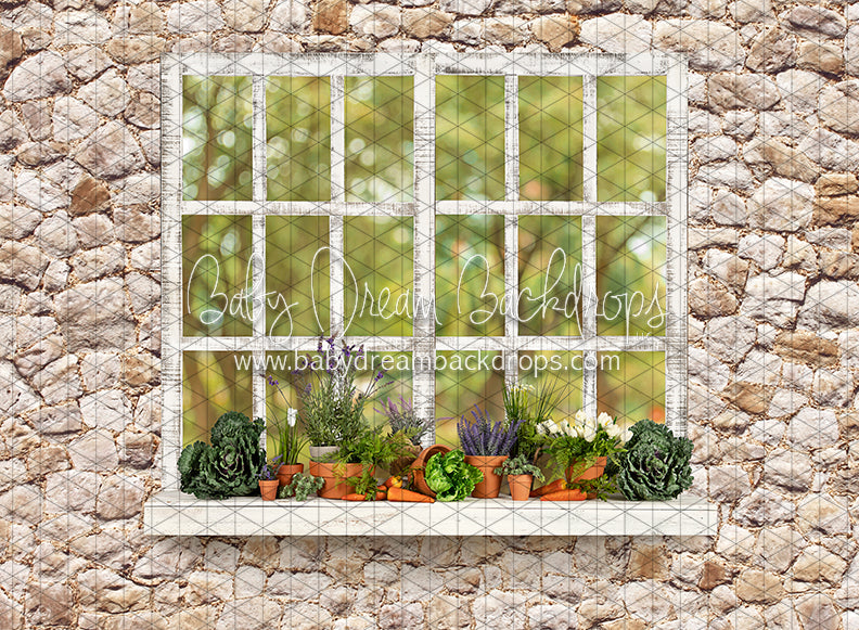 McGregor Garden Shed Window (JA)