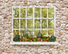 McGregor Garden Shed Window (JA)