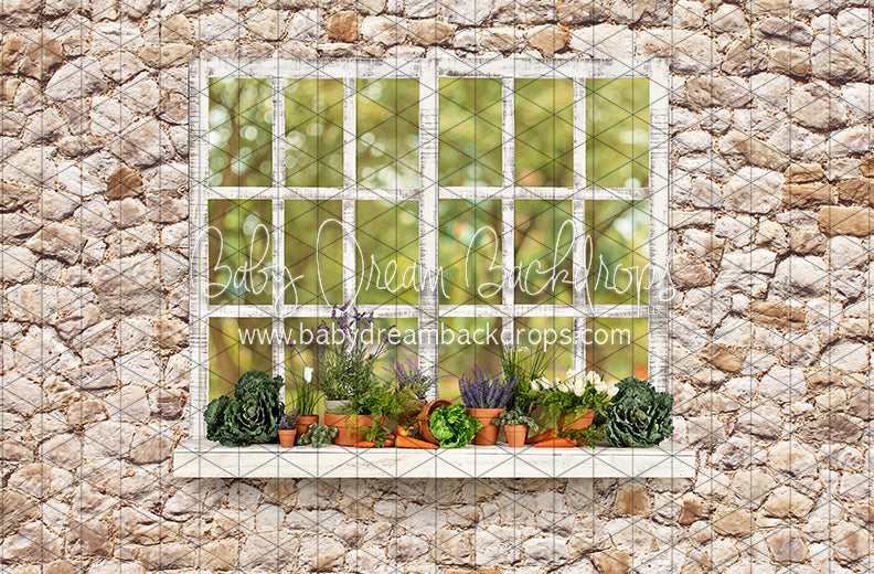McGregor Garden Shed Window (JA)