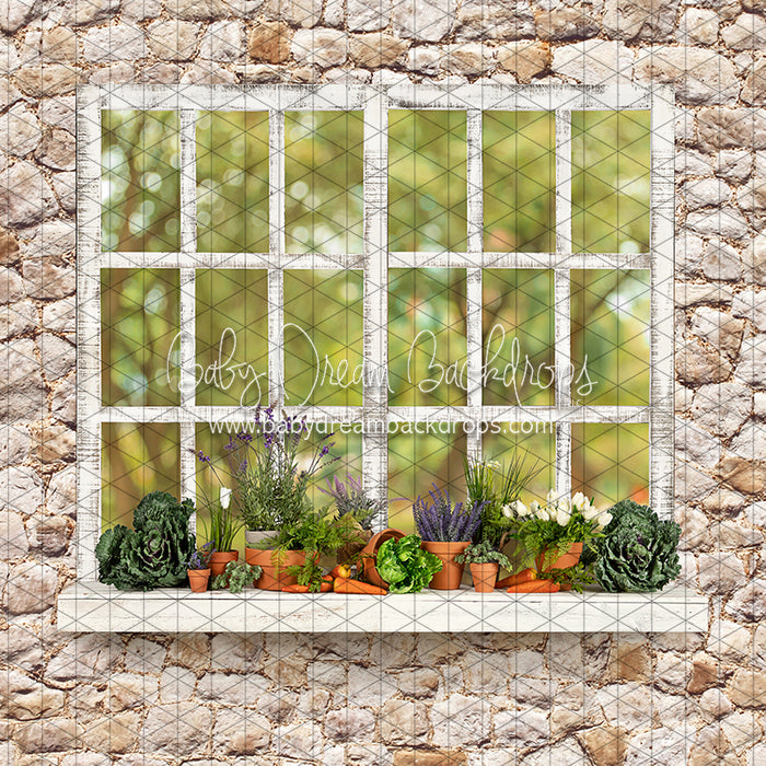 McGregor Garden Shed Window (JA)