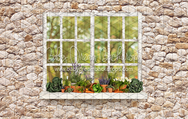 McGregor Garden Shed Window (JA)