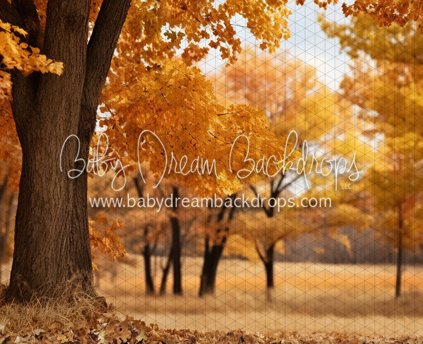 Meet Me in the Fall Meadow (JA)