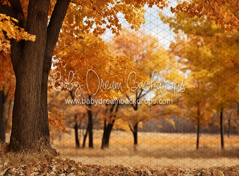 Meet Me in the Fall Meadow (JA)