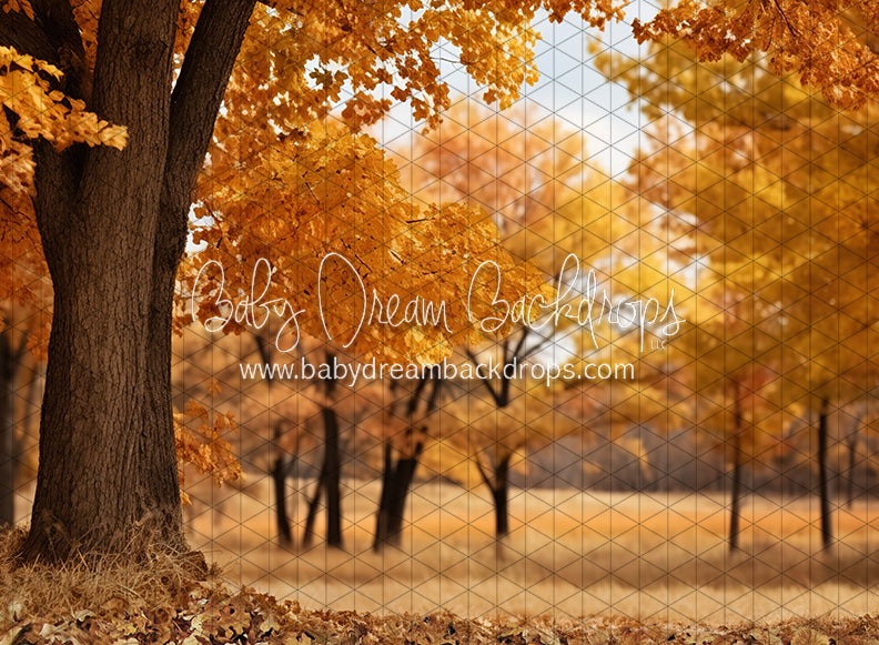 Meet Me in the Fall Meadow (JA)