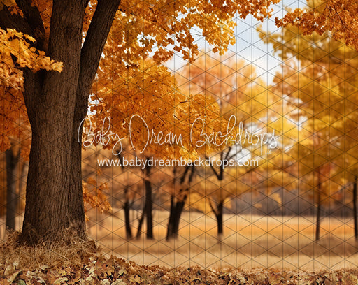 Meet Me in the Fall Meadow (JA)