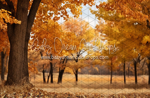 Meet Me in the Fall Meadow (JA)