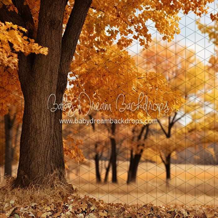 Meet Me in the Fall Meadow (JA)