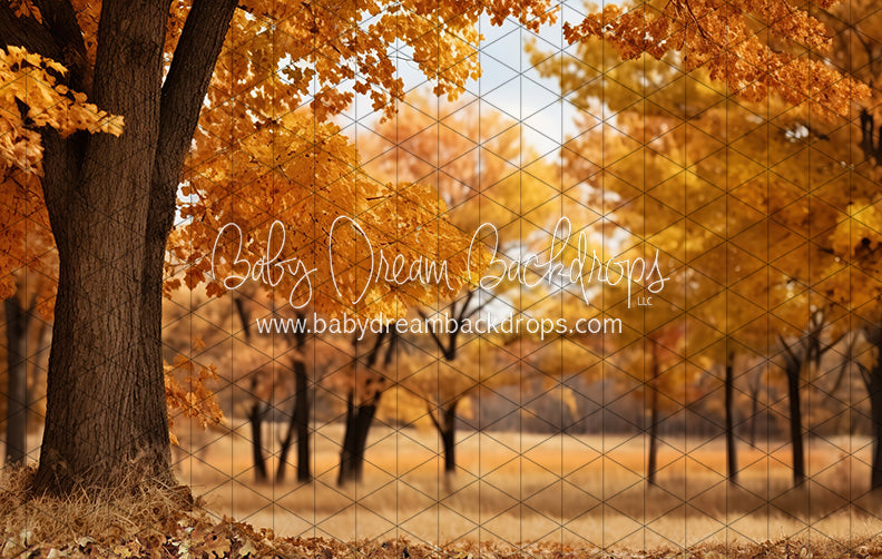 Meet Me in the Fall Meadow (JA)