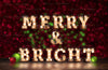 Merry and Bright Center Stage
