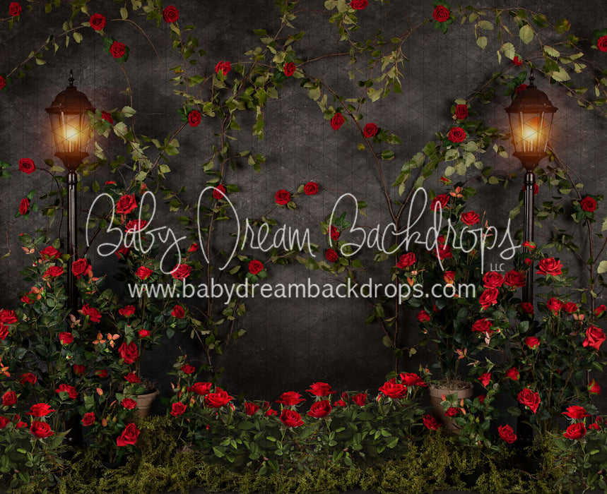 Midnight Garden Love