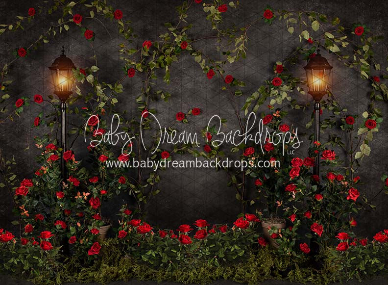 Midnight Garden Love