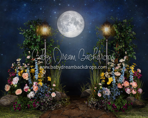 Midnight Garden Path