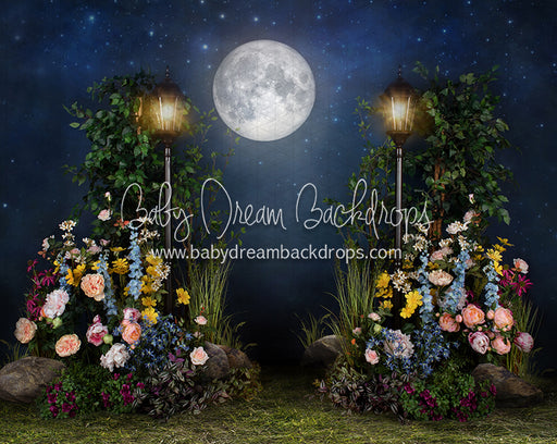 Midnight Garden Path (Grass)