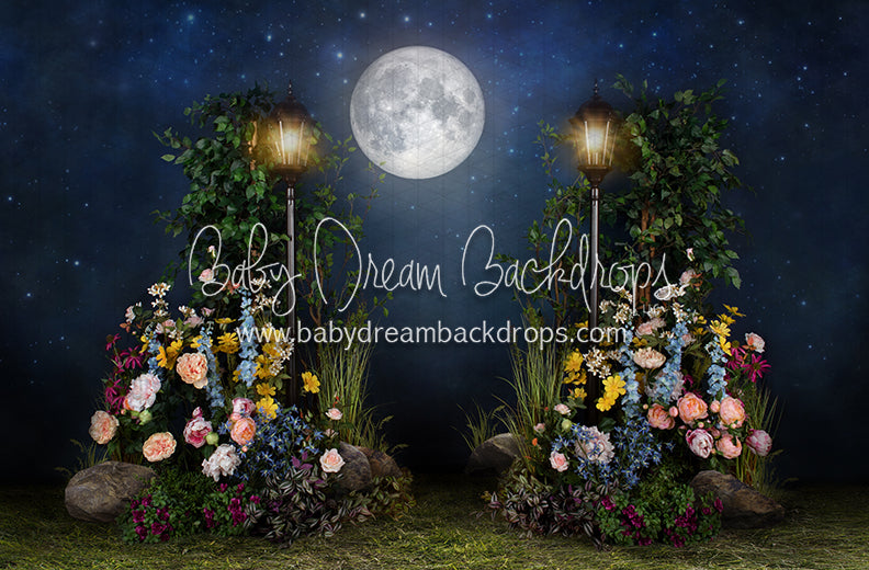 Midnight Garden Path (Grass)