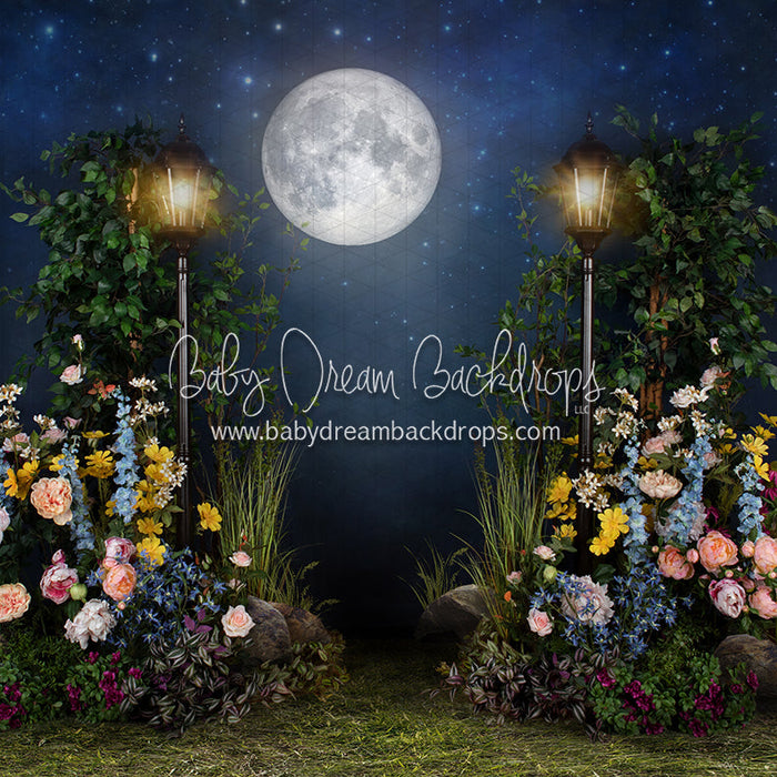 X Drop midnight garden path grass