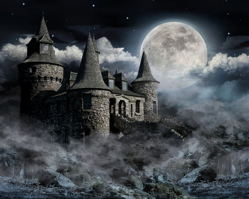 Midnight Knight - 8x10 