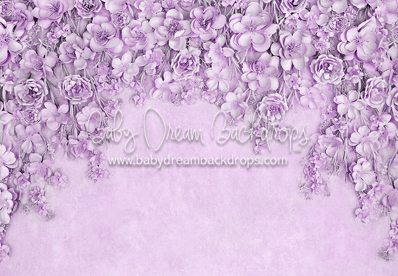 Miss Maddie Lavender