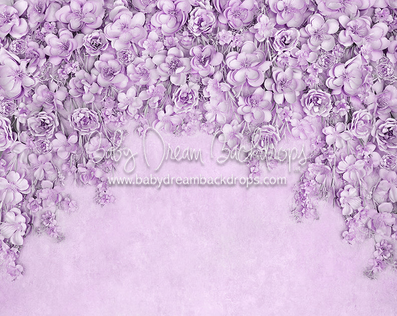 Miss Maddie Lavender