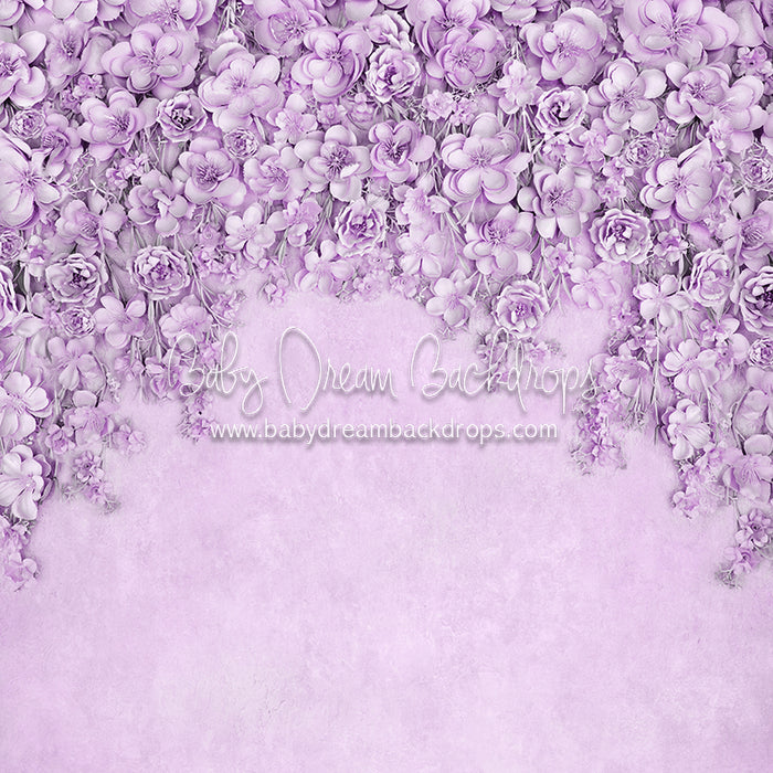 Miss Maddie Lavender