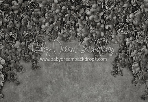 Miss Maddie Pewter 5x7