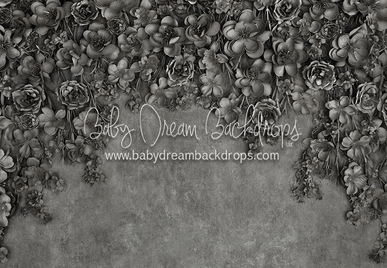 Miss Maddie Pewter 5x7