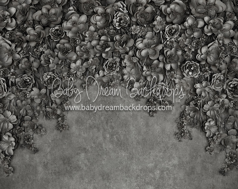 Miss Maddie Pewter 8x10