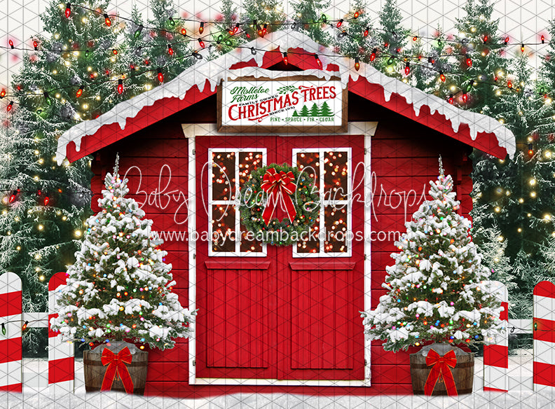 Mistletoe Farms Christmas Trees (JA)
