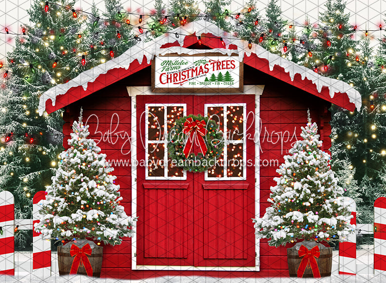 Mistletoe Farms Christmas Trees (JA)