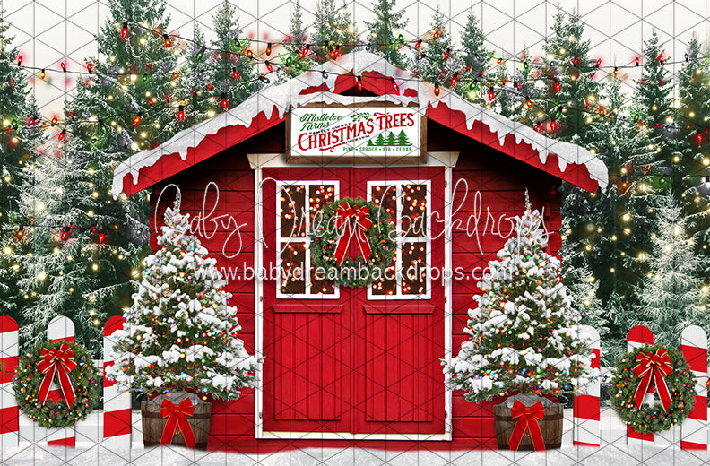 Mistletoe Farms Christmas Trees (JA)